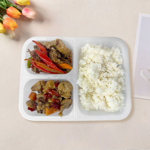 Stir Fried Pork and Green Chilli, Kongpao Chicken with Rice 尖椒炒肉，宫保鸡丁双拼盒饭