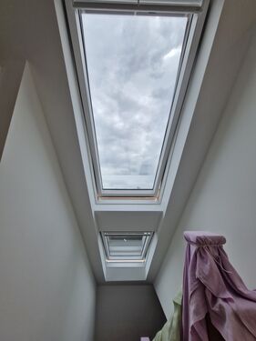 Window Film Image Gallery