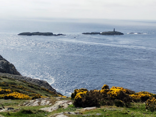 FULL - Isle of Anglesey, Wales 2026 - FULL