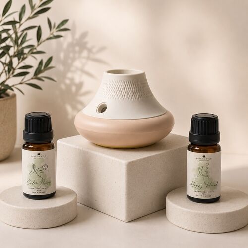 Nikura MISTI Diffuser