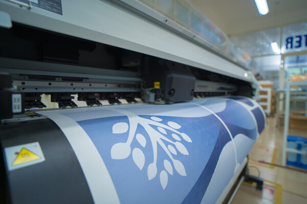 What We Do / Services