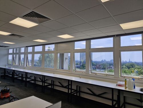 Window Film Image Gallery