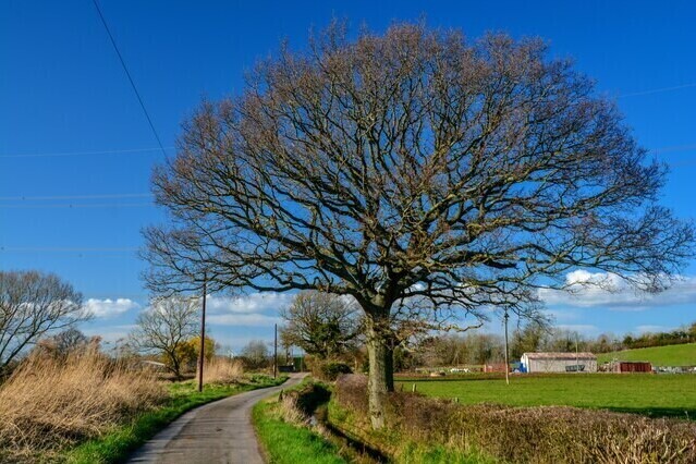 Moors Lane, Awkley.