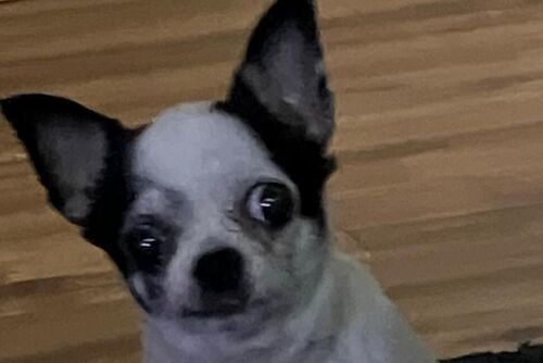 Tilly