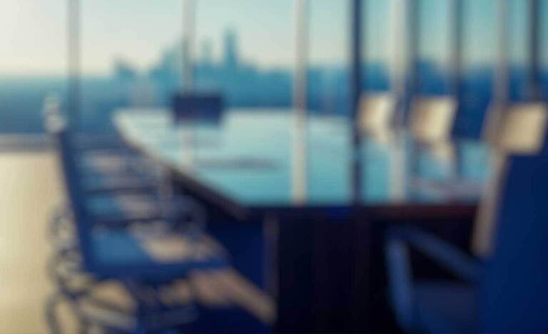 Governance Committee | FOS Litigation Group