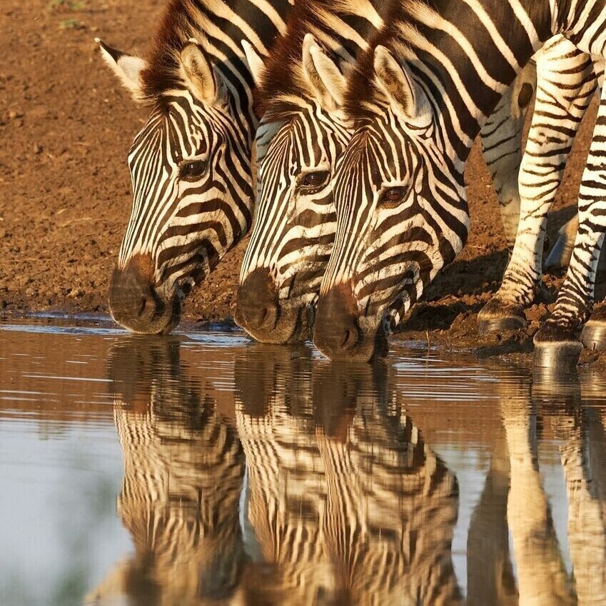 South Africa Retreat