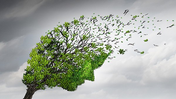 The Brain's Response to Stress 