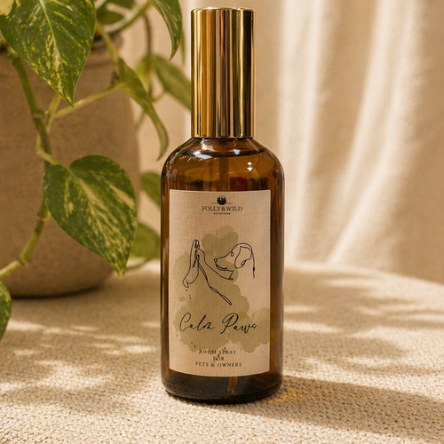 Signature Essential Oil Collection