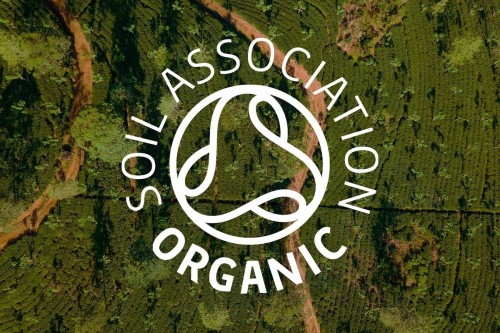 Blog | Naturopathic Nutritionist