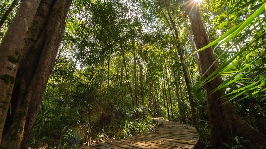 Kinabatangan Wetlands Resort