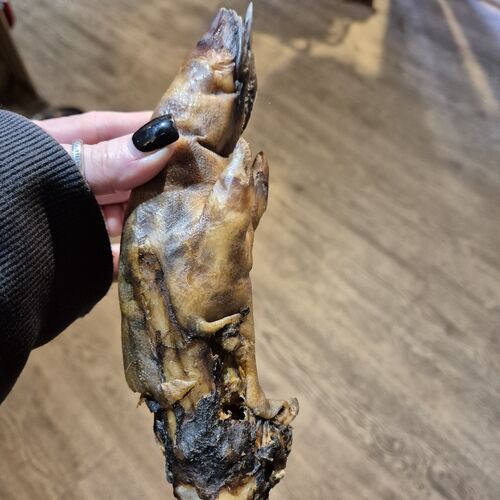 Wild Boar Foot - Plain