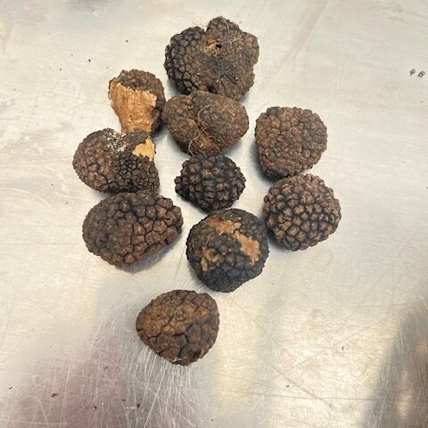 DOG TRAINING TRUFFLES