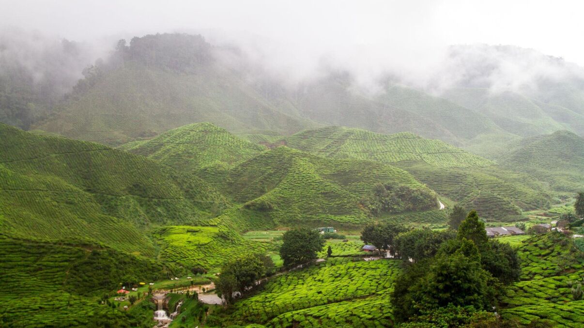 Cameron Highlands Resort