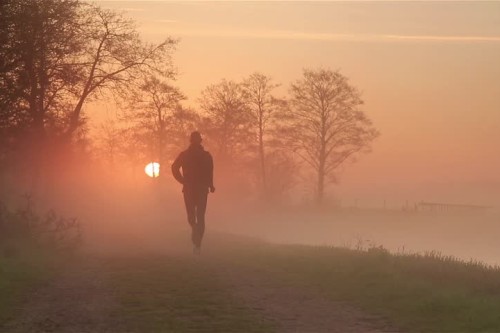 The "Shame" of Walking: Why the Run-Walk Method is Your Secret Marathon Weapon