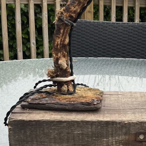 Driftwood Lamp