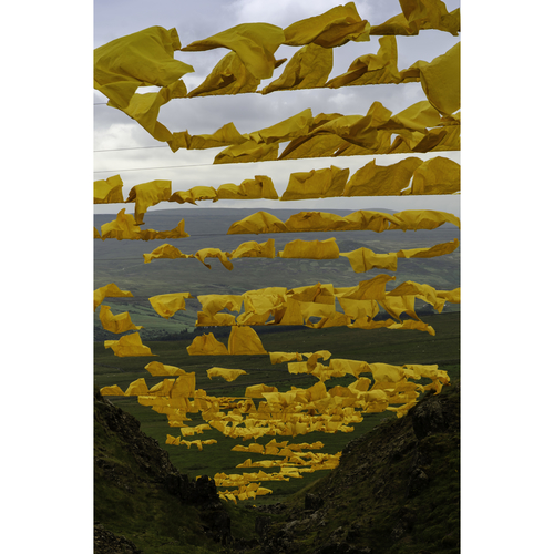 Art installation "Hush" - County Durham