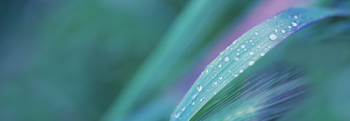 Sexual Violence and Abuse Therapy South Wales 