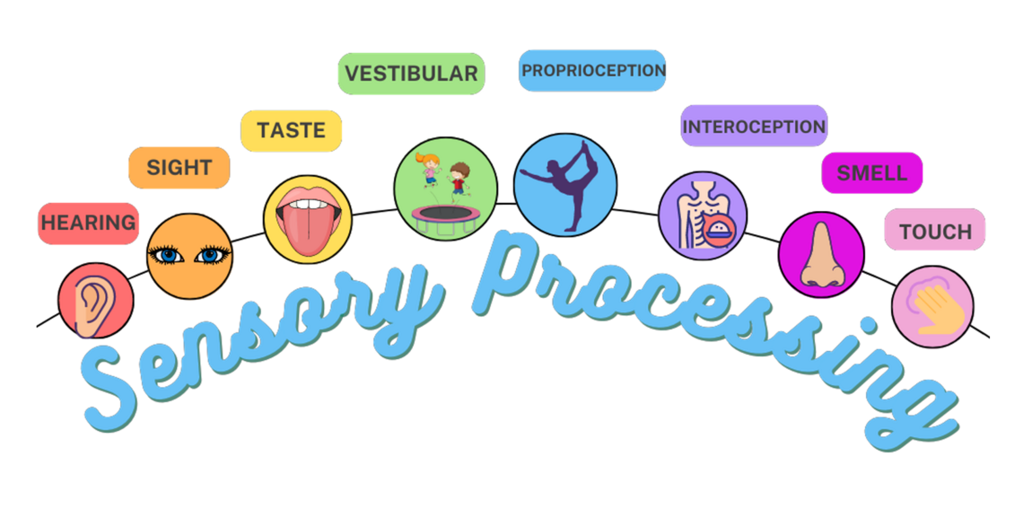 Sensory processing | Unique Minds
