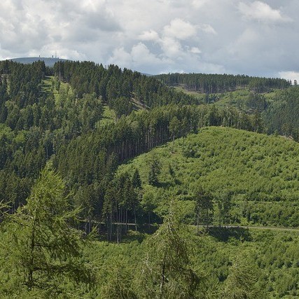 What are the key differences between a boundary survey and a topographical survey?