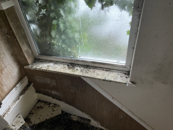 Stamp duty exempt on uninhabitable properties at purchase