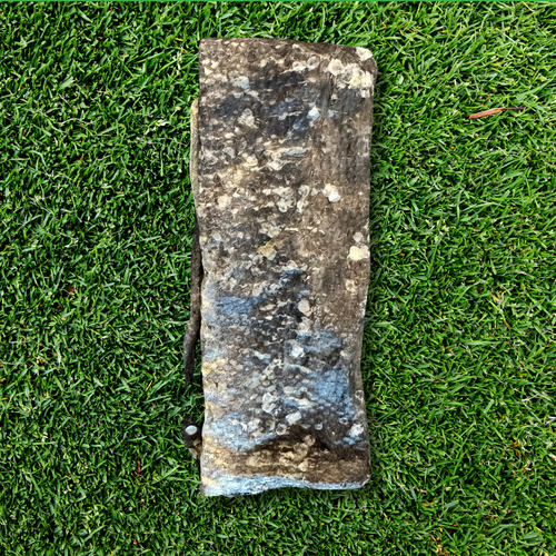 Fish Skin Flattie