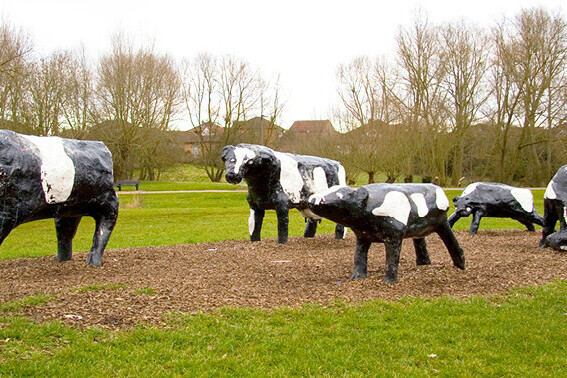 Savvy IT Support Services in Milton Keynes