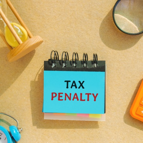 Tax Evasion Penalties for the Self-Employed
