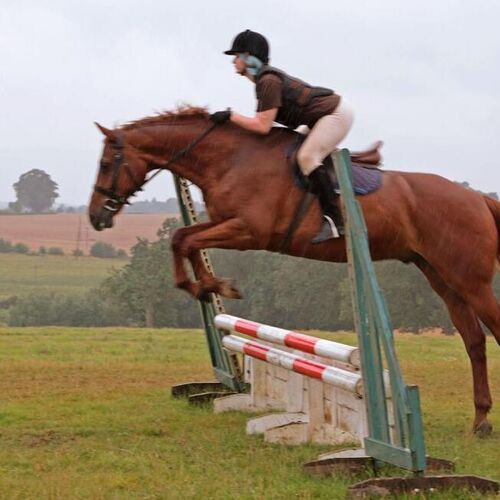 28 August - Clear Round Jumping for All - 5+ Lead Rein+ £30.00