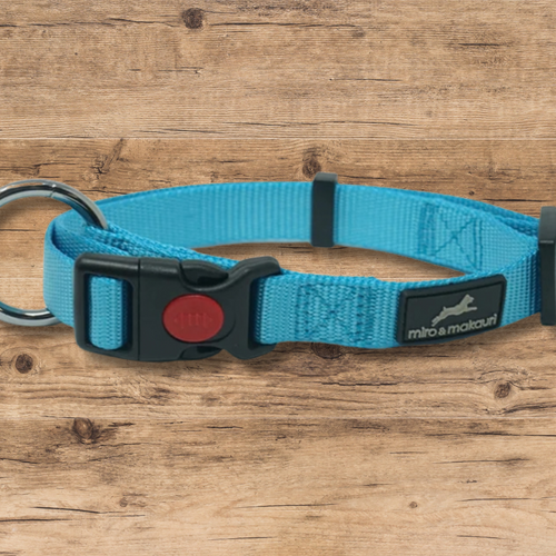 Collar 20 - 30cm Aqua Blue