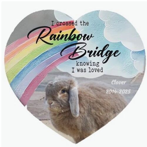 Online Book of Remembrance | Rainbow Bridge Pet Funeral Services