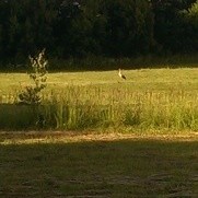 Belarus - between Poland, Lithuania and Russia - the great unknown!