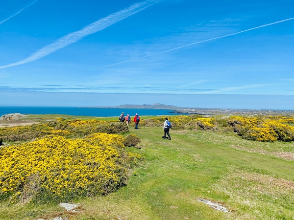 ANGLESEY: 24th-30th April 2026