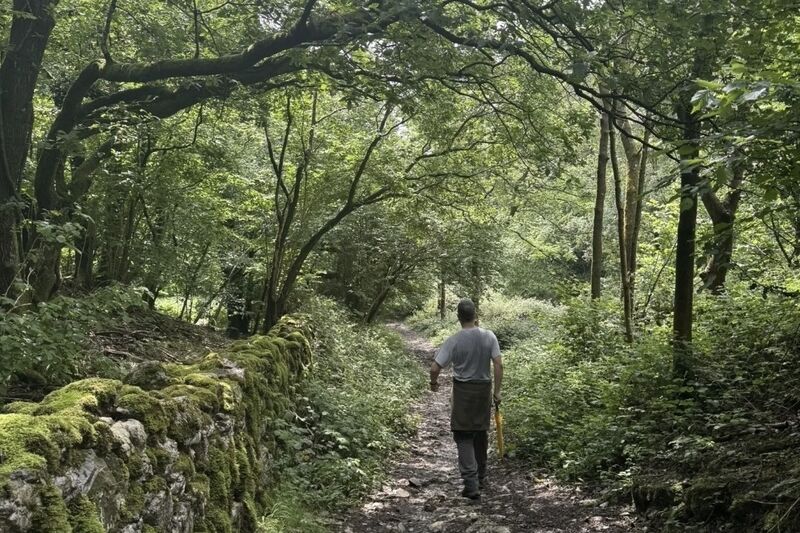 Eggerslack Wood and Hampsfell Hill