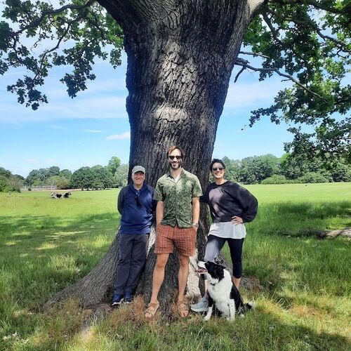 Walking with trees