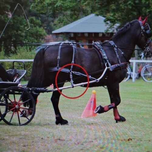 Kicking Strap - Short QR