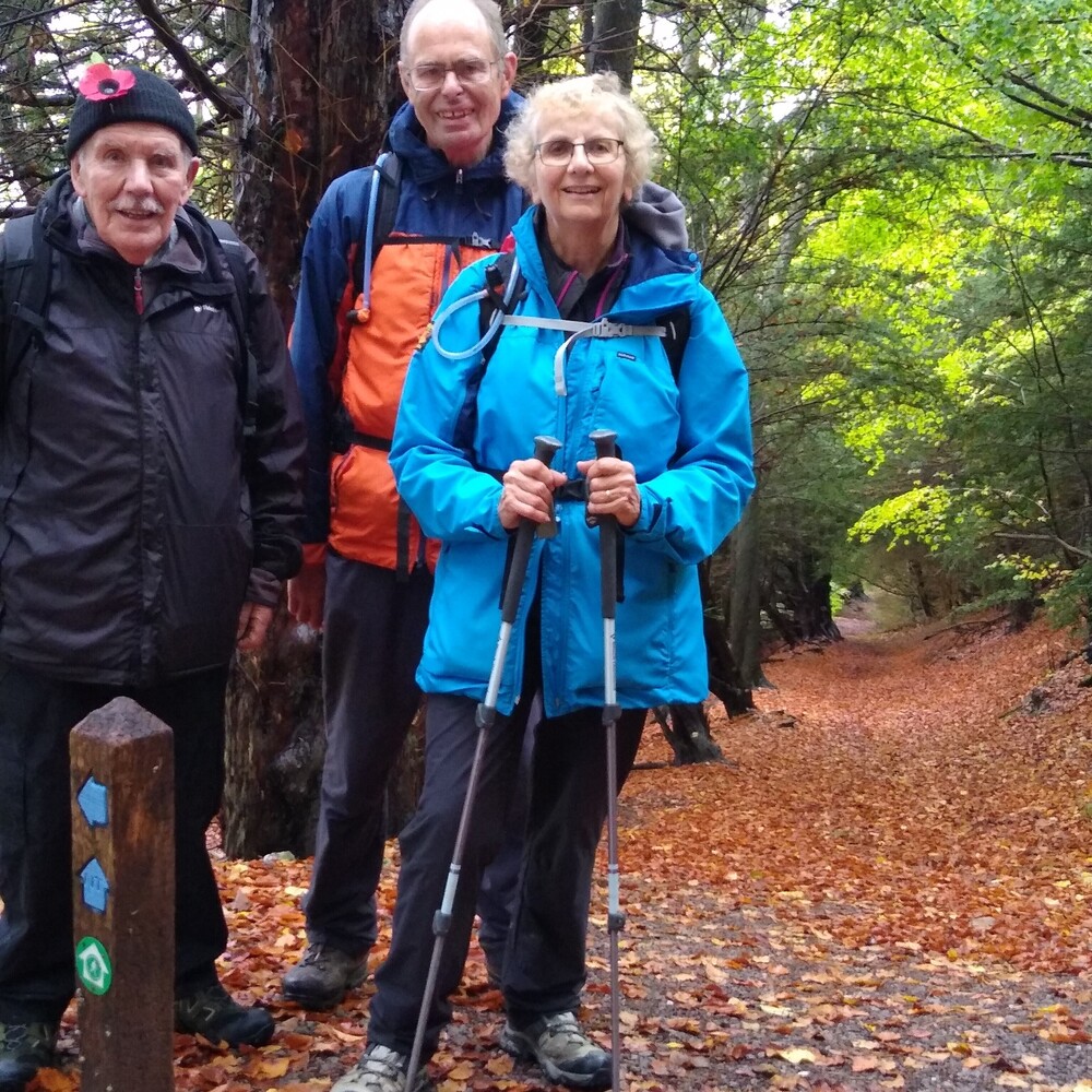 23rd October Wotton Hatch to West Humble