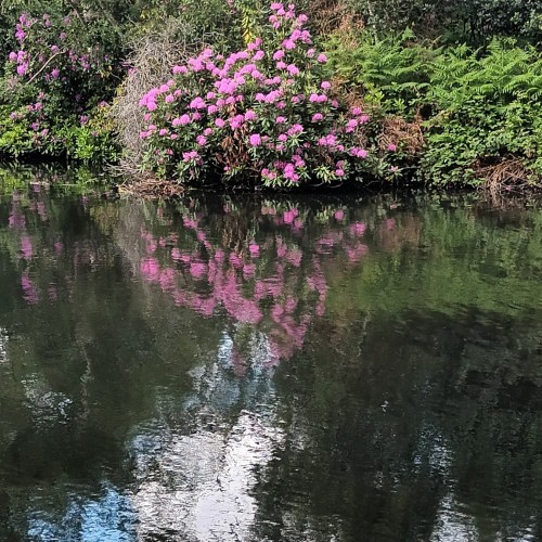 Capital Ring Section Five, Wednesday 20th May | Croydon HF Rambling Club | Walking Clubs in Croydon  | Rambling Croydon | HF Rambling, Croydon