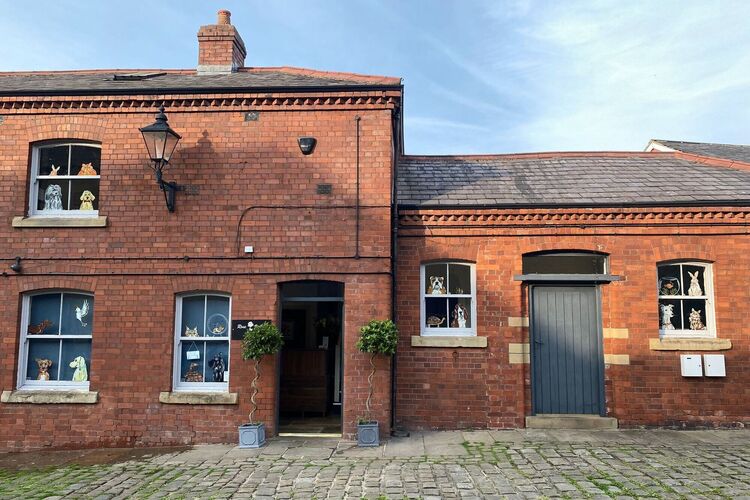 Consultations | Rose Valley Vets