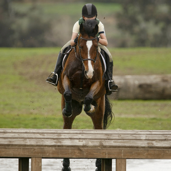 Mobile Cross Country Jumps