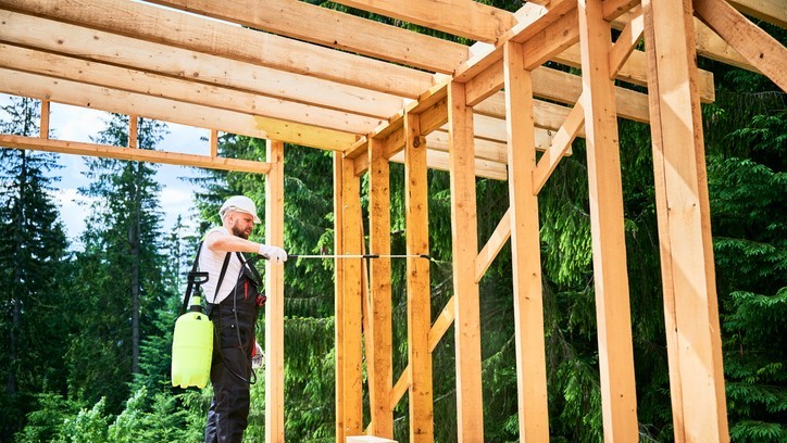 Example blog article title | Damp, Mould &amp;amp; Woodworm Specialists Ltd