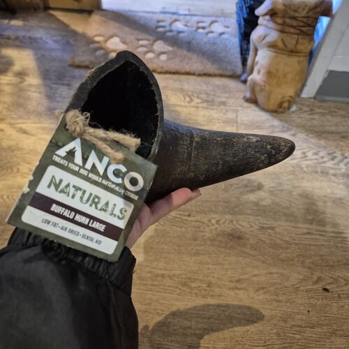 Buffalo Horn - Fillable