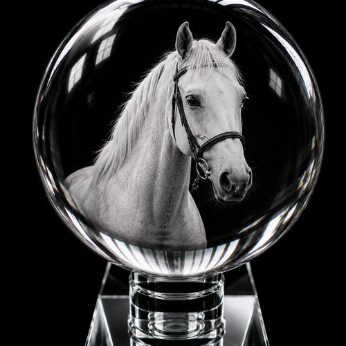 3D Crystal XXXL Sphere Photo Gift with LED Base – 100 mm