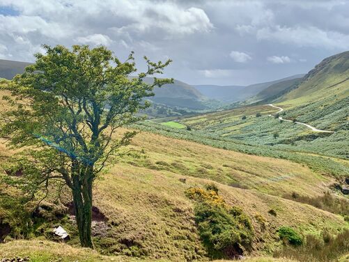 FULL - Monasticism in the Wye Valley, England/Wales borders 2026 - FULL