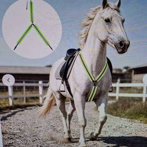 Hi Viz Breastplate - Bright Green