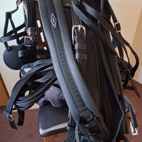 Full Size Harness - Tedex *Secondhand*