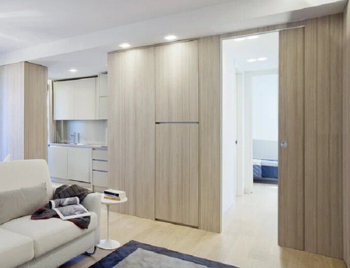 Eclisse Pocket Door Kits