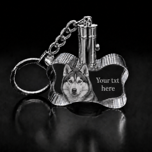 XXXL 3D Crystal Dog Bone LED Photo Keyring