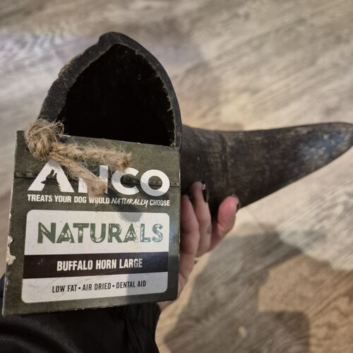 Buffalo Horn - Fillable