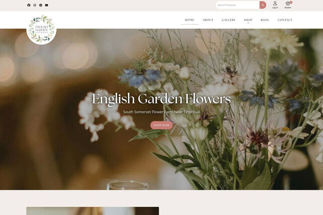 ecommerce website design