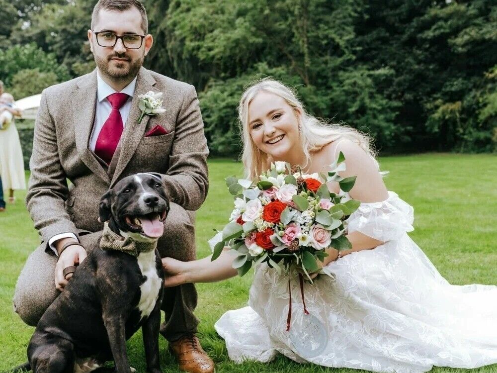 Tails Of Love | Wedding dog chaperone Suffolk | Dog Chaperone for weddings in Suffolk  | Include Your Dog in Your Wedding Day